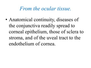 From the ocular tissue.
• Anatomical continuity, diseases of
the conjunctiva readily spread to
corneal epithelium, those of sclera to
stroma, and of the uveal tract to the
endothelium of cornea.
 