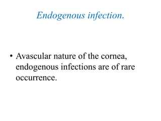 Endogenous infection.
• Avascular nature of the cornea,
endogenous infections are of rare
occurrence.
 