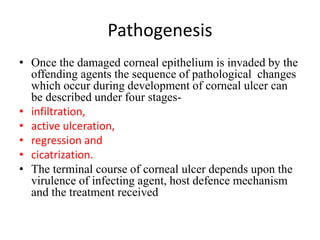 Pathogenesis
• Once the damaged corneal epithelium is invaded by the
offending agents the sequence of pathological changes
which occur during development of corneal ulcer can
be described under four stages-
• infiltration,
• active ulceration,
• regression and
• cicatrization.
• The terminal course of corneal ulcer depends upon the
virulence of infecting agent, host defence mechanism
and the treatment received
 