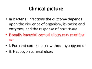 Clinical picture
• In bacterial infections the outcome depends
upon the virulence of organism, its toxins and
enzymes, and the response of host tissue.
• Broadly bacterial corneal ulcers may manifest
as:
• i. Purulent corneal ulcer without hypopyon; or
• ii. Hypopyon corneal ulcer.
 