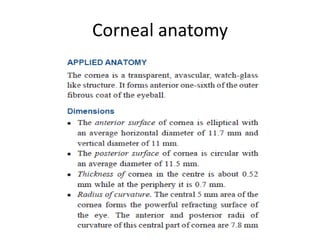 Corneal anatomy
 
