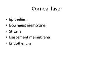 Corneal layer
• Epithelium
• Bowmens membrane
• Stroma
• Descement memebrane
• Endothelium
 