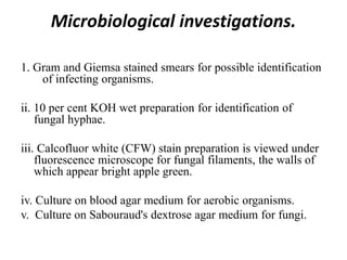 Microbiological investigations.
1. Gram and Giemsa stained smears for possible identification
of infecting organisms.
ii. 10 per cent KOH wet preparation for identification of
fungal hyphae.
iii. Calcofluor white (CFW) stain preparation is viewed under
fluorescence microscope for fungal filaments, the walls of
which appear bright apple green.
iv. Culture on blood agar medium for aerobic organisms.
v. Culture on Sabouraud's dextrose agar medium for fungi.
 