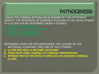 ONCE THE CORNEAL EPITHELIUM IS INVADED BY THE OFFENDING
AGENTS, THE SEQUENCE OF CHANGES OCCURING IN THE DEVELOPMENT
OF A ULCER CAN BE DESCRIBED UNDER 4 STAGES:-
1. STAGE OF INFILTRATION
2. STAGE OF ACTIVE ULCERATION
3. STAGE OF REGRESSION
4. STAGE OF CICATRIZATION.
DEPENDING UPON THE CIRCUMSTANCES, THE COURSE OF THE
BACTERIAL ULCER MAY TAKE ONE OF THE 3 FORMS:-
A. ULCER MAY HEAL & BECOME LOCALIZED.
B. PENETRATE DEEP LEADING TO CORNEAL PERFORATION.
C. SPREAD FAST IN THE WHOLE COREA AS A SLOUGHING CORNEAL
ULCER.
 
