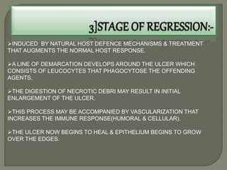 INDUCED BY NATURAL HOST DEFENCE MECHANISMS & TREATMENT
THAT AUGMENTS THE NORMAL HOST RESPONSE.
A LINE OF DEMARCATION DEVELOPS AROUND THE ULCER WHICH
CONSISTS OF LEUCOCYTES THAT PHAGOCYTOSE THE OFFENDING
AGENTS.
THE DIGESTION OF NECROTIC DEBRI MAY RESULT IN INITIAL
ENLARGEMENT OF THE ULCER.
THIS PROCESS MAY BE ACCOMPANIED BY VASCULARIZATION THAT
INCREASES THE IMMUNE RESPONSE(HUMORAL & CELLULAR).
THE ULCER NOW BEGINS TO HEAL & EPITHELIUM BEGINS TO GROW
OVER THE EDGES.
 