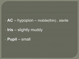  AC – hypopion – mobile(thin) , sterile
 Iris – slightly muddy
 Pupil – small
 