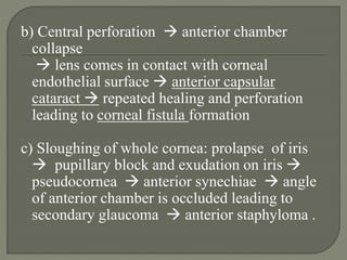 b) Central perforation  anterior chamber
collapse
 lens comes in contact with corneal
endothelial surface  anterior capsular
cataract  repeated healing and perforation
leading to corneal fistula formation
c) Sloughing of whole cornea: prolapse of iris
 pupillary block and exudation on iris 
pseudocornea  anterior synechiae  angle
of anterior chamber is occluded leading to
secondary glaucoma  anterior staphyloma .
 