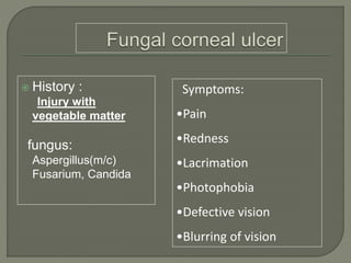  History :
Injury with
vegetable matter
fungus:
Aspergillus(m/c)
Fusarium, Candida
Symptoms:
•Pain
•Redness
•Lacrimation
•Photophobia
•Defective vision
•Blurring of vision
 