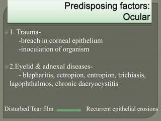 1. Trauma-
-breach in corneal epithelium
-inoculation of organism
2.Eyelid & adnexal diseases-
- blepharitis, ectropion, entropion, trichiasis,
lagophthalmos, chronic dacryocystitis
Disturbed Tear film Recurrent epithelial erosions
 