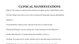 CLINICAL MANIFESTATIONS
•Redness: The conjunctiva and the anterior chamber may appear red due to dilated blood vessels.
•Eye Pain: Ranges from mild to severe, often worsening with bright light exposure (photophobia).
•Hypopyon
•Visual Disturbance: Blurred vision, especially if the ulcer is centrally located.
•Tearing and Discharge: Excessive tearing, pus, or thick discharge from the affected eye.
•Foreign Body Sensation: A constant feeling that something is in the eye.
•Swelling: The eyelids may be swollen, and there may be noticeable edema around the ulcer.
 