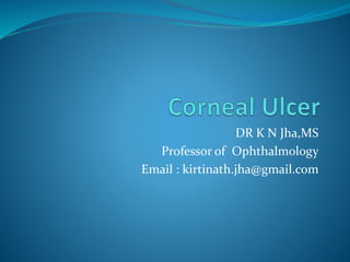 DR K N Jha,MS
Professor of Ophthalmology
Email : kirtinath.jha@gmail.com
 