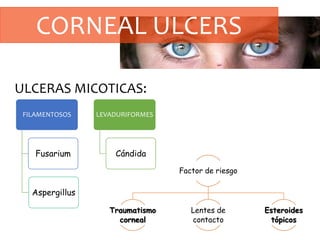 CORNEAL ULCERS
ULCERAS MICOTICAS:
FILAMENTOSOS
Fusarium
Aspergillus
LEVADURIFORMES
Cándida
Factor de riesgo
Traumatismo
corneal
Lentes de
contacto
Esteroides
tópicos
 