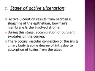 2. Stage of active ulceration:
 Active ulceration results from necrosis &
sloughing of the epithelium, bowman’s
membrane & the involved stroma.
 During this stage, accumulation of purulent
exudates on the cornea.
 There occurs vascular congestion of the iris &
ciliary body & some degree of iritis due to
absorption of toxins from the ulcer.
 