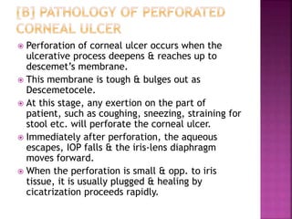  Perforation of corneal ulcer occurs when the
ulcerative process deepens & reaches up to
descemet’s membrane.
 This membrane is tough & bulges out as
Descemetocele.
 At this stage, any exertion on the part of
patient, such as coughing, sneezing, straining for
stool etc. will perforate the corneal ulcer.
 Immediately after perforation, the aqueous
escapes, IOP falls & the iris-lens diaphragm
moves forward.
 When the perforation is small & opp. to iris
tissue, it is usually plugged & healing by
cicatrization proceeds rapidly.
 