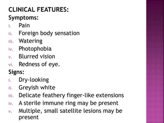 CLINICAL FEATURES:
Symptoms:
i. Pain
ii. Foreign body sensation
iii. Watering
iv. Photophobia
v. Blurred vision
vi. Redness of eye.
Signs:
i. Dry-looking
ii. Greyish white
iii. Delicate feathery finger-like extensions
iv. A sterile immune ring may be present
v. Multiple, small satellite lesions may be
present
 