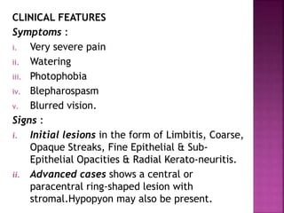 CLINICAL FEATURES
Symptoms :
i. Very severe pain
ii. Watering
iii. Photophobia
iv. Blepharospasm
v. Blurred vision.
Signs :
i. Initial lesions in the form of Limbitis, Coarse,
Opaque Streaks, Fine Epithelial & Sub-
Epithelial Opacities & Radial Kerato-neuritis.
ii. Advanced cases shows a central or
paracentral ring-shaped lesion with
stromal.Hypopyon may also be present.
 