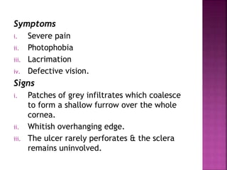Symptoms
i. Severe pain
ii. Photophobia
iii. Lacrimation
iv. Defective vision.
Signs
i. Patches of grey infiltrates which coalesce
to form a shallow furrow over the whole
cornea.
ii. Whitish overhanging edge.
iii. The ulcer rarely perforates & the sclera
remains uninvolved.
 
