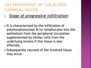 1. Stage of progressive infiltration:
 It is characterised by the infiltration of
polymorphonuclear &/or lymphocytes into the
epithelium from the peripheral circulation
supplemented by similar cells from the
underlying stroma if this tissue is also
affected.
 Subsequently necrosis of the involved tissue
may occur.
 