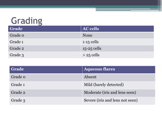 Corneal ulcers types , clinical features and management pptx | PPTX