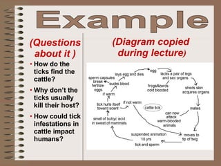 Example  (Diagram copied  during lecture ) (Questions about it ) How do the ticks find the cattle? Why don’t the ticks usually kill their host? How could tick infestations in cattle impact humans? 
