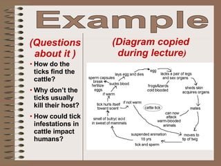 Example  (Diagram copied  during lecture ) (Questions about it ) <ul><li>How do the ticks find the cattle? </li></ul><ul><...