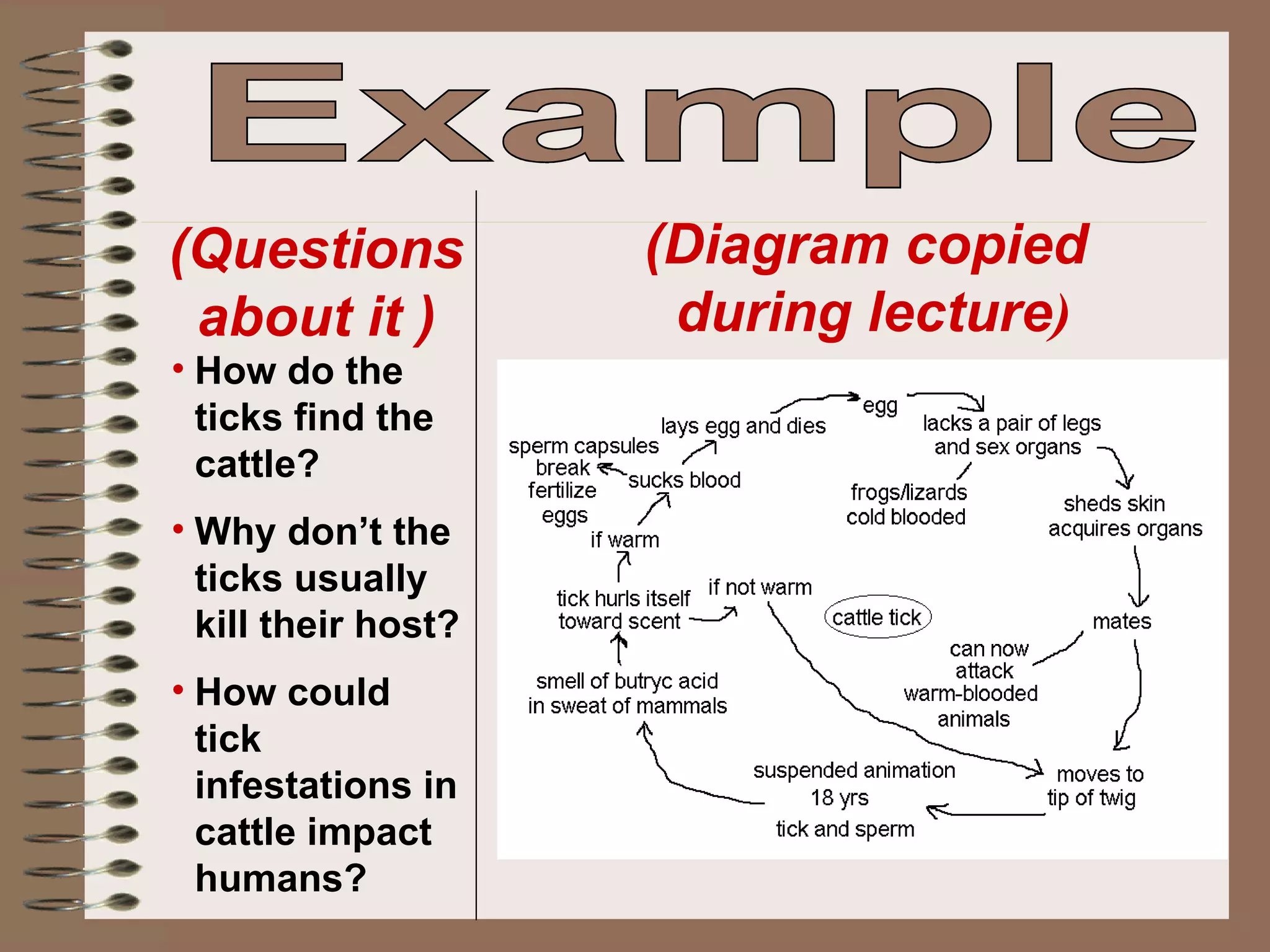 Example  (Diagram copied  during lecture ) (Questions about it ) How do the ticks find the cattle? Why don’t the ticks usually kill their host? How could tick infestations in cattle impact humans? 