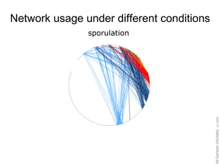 Network usage under different conditions sporulation 