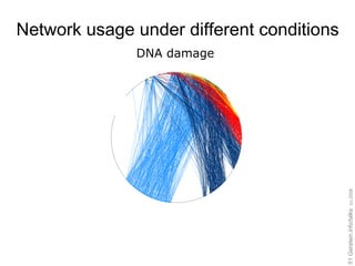 Network usage under different conditions DNA damage 
