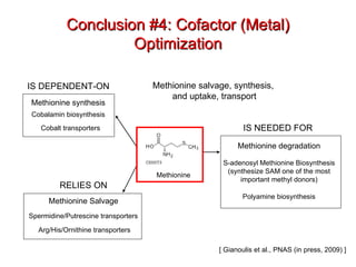Conclusion #4: Cofactor (Metal) Optimization Methionine degradation Polyamine biosynthesis Spermidine/Putrescine transporters Methionine synthesis Cobalamin biosynthesis Cobalt transporters Methionine Salvage IS DEPENDENT-ON Methionine IS NEEDED FOR S-adenosyl Methionine Biosynthesis (synthesize SAM one of the most important methyl donors) RELIES ON Arg/His/Ornithine transporters Methionine salvage, synthesis,  and uptake, transport [ Gianoulis et al., PNAS (in press, 2009) ] 