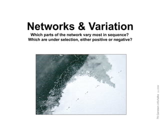 Networks & Variation Which parts of the network vary most in sequence?  Which are under selection, either positive or negative? 