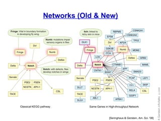 Networks (Old & New) [Seringhaus & Gerstein, Am. Sci. '08] Classical KEGG pathway Same Genes in High-throughput Network 