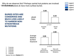 BURIED SITES ARE CONSERVED AND MUCH LESS LIKELY TO HARBOR NON-SYNONYMOUS MUTATIONS p<<0.01 Buried sites dN/dS Ratio Exposed sites p<<0.01 Site with  Synonymous Mutations only Sites with Non-synonymous Mutations Average Relative Surface Exposure Source: Kim et al. PNAS (2007) Why do we observer this? Perhaps central hub proteins are involved in more interactions & have more surface buried. 