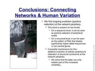 Conclusions: Connecting Networks & Human Variation We find ongoing evolution (positive selection) at the network periphery. This trend is present on two levels: On a sequence level, it can be seen as positive selection of peripheral nodes  On a structural level, it can be seen as the pattern of SDs that display significantly higher allele frequencies in non-central genes 2 possible mechanisms for this : adaptive evolution at cellular periphery & relaxation of structural constraints at the network periphery We show that the latter can only explain part of the increased variability,,, 
