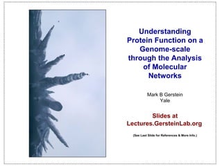 Understanding Protein Function on a Genome-scale through the Analysis of Molecular Networks Mark B Gerstein Yale Slides at   Lectures.GersteinLab.org   (See Last Slide for References & More Info.)   (c) Mark Gerstein, 2002, Yale, bioinfo.mbb.yale.edu 