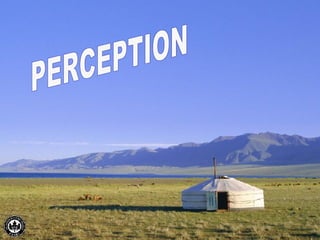 PERCEPTION 