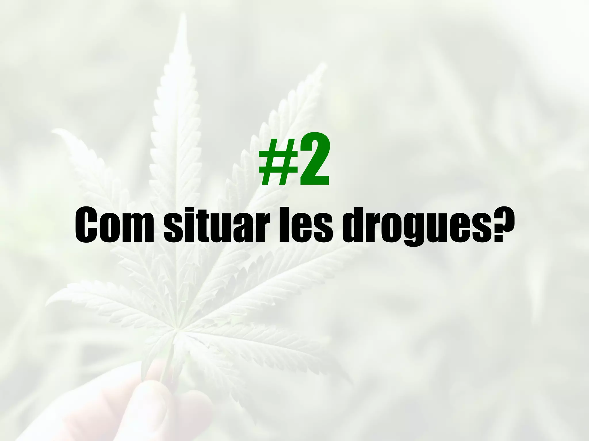 @berlich
El País (2012)
 