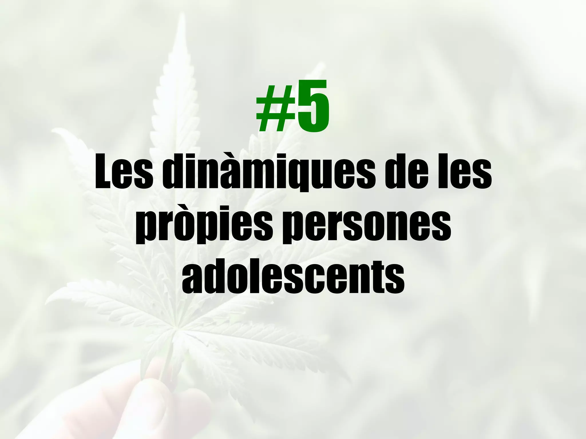 El problema són els amics…
És molt influenciable…
La culpa la té el PQPI/UEC…
El pare no m’ajuda. Em sento sola…
No el puc controlar…
Estic desesperat…
Què vagi a un centre…
Els serveis públics no s’hi posen…
Com descriuen els problemes
els implicats? #Les_famílies
 