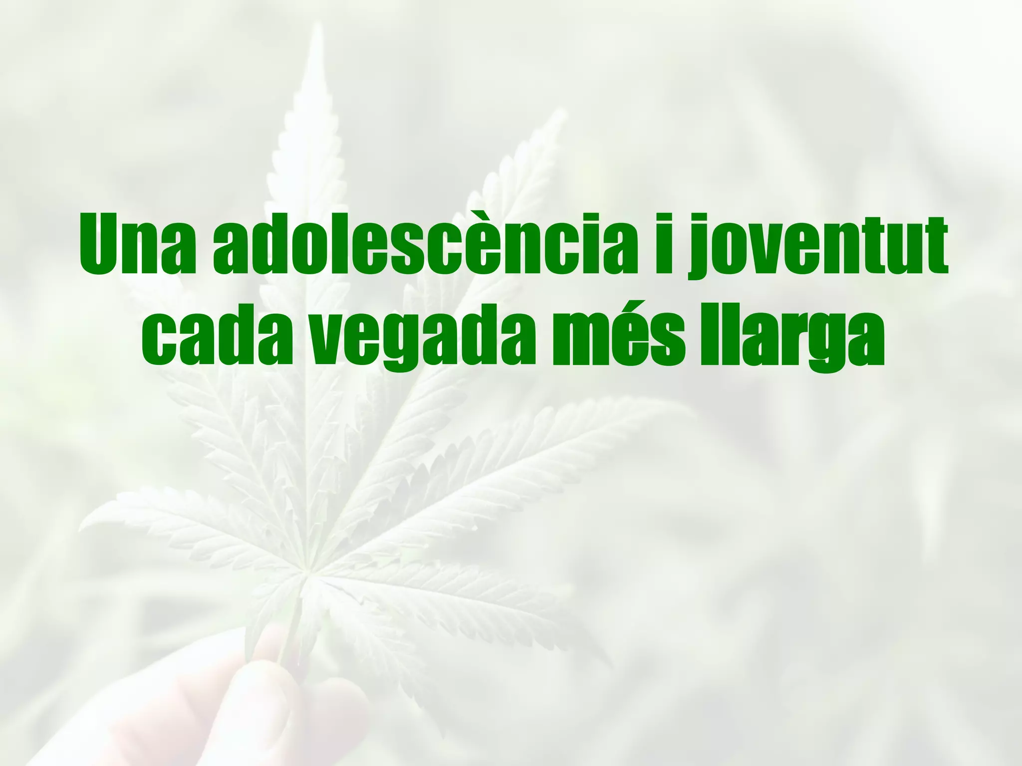 Punts de partida
1.
La	
  mirada	
  
adulta	
  cap	
  a	
  
l’adolescència	
  
2.
Com	
  situar	
  les	
  
drogues?	
  
3.
Els	
  diferents	
  
discursos	
  en	
  la	
  
comunitat	
  
educaIva	
  
4.
Les	
  vàries	
  i	
  
variades	
  
dinàmiques	
  
familiars	
  
5.
Les	
  pròpies	
  
dinàmiques	
  de	
  
les	
  persones	
  
adolescents	
  
6.
Les	
  nostres	
  
respostes	
  
d’intervenció	
  
 