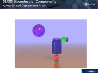 SERRS Biomolecular Components
Autocalibrated Displacement Assay

 