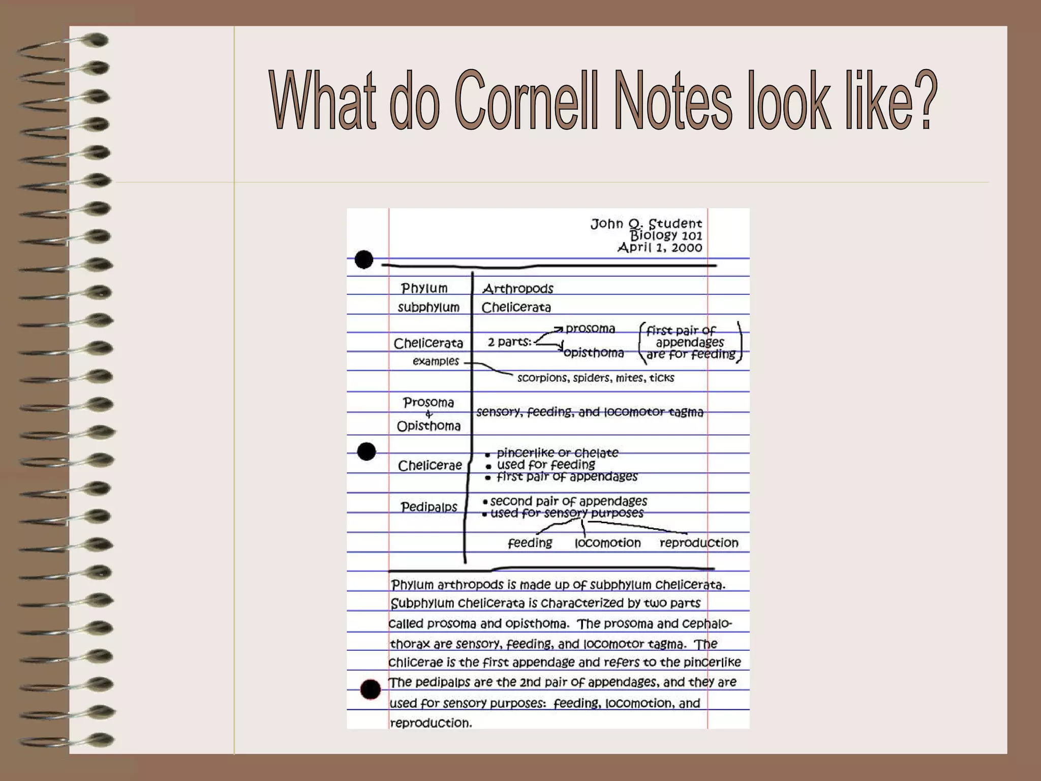 What do Cornell Notes look like? 