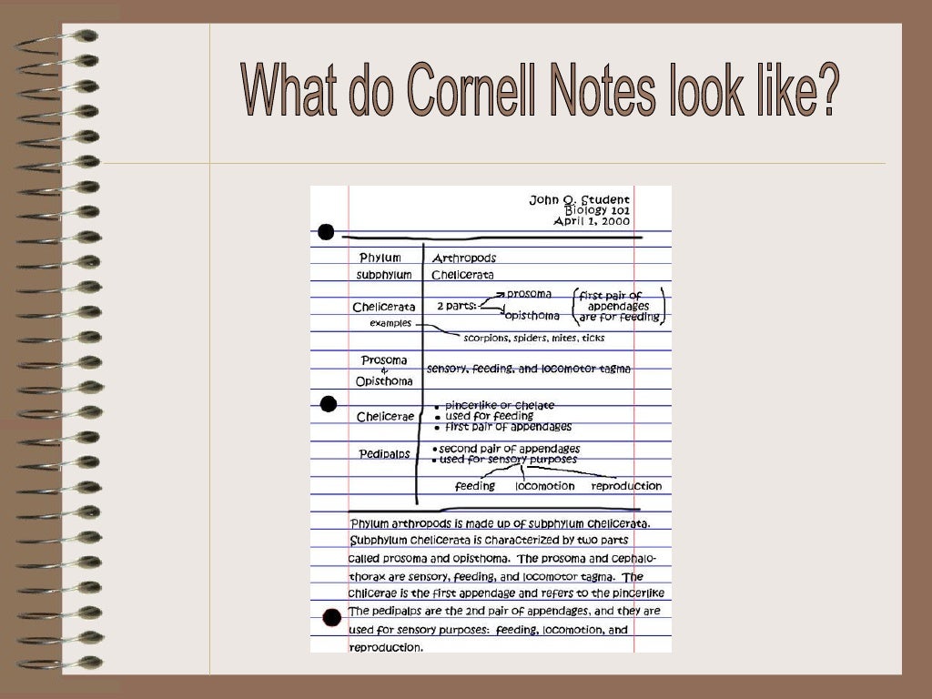 Cornell notes