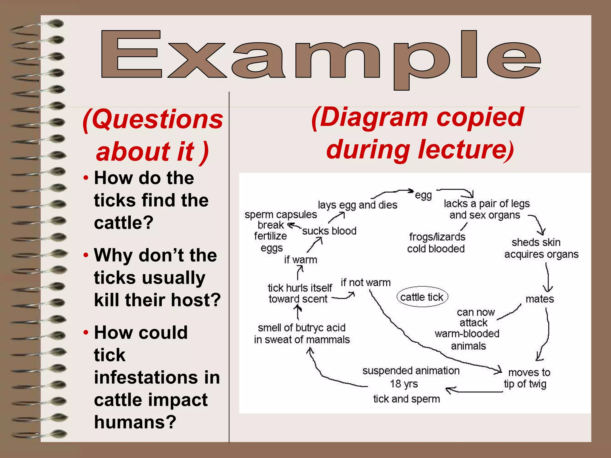 (Diagram copied
during lecture)
(Questions
about it )
• How do the
ticks find the
cattle?
• Why don’t the
ticks usually
kill their host?
• How could
tick
infestations in
cattle impact
humans?
 