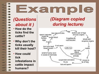 Example  (Diagram copied  during lecture ) (Questions about it ) How do the ticks find the cattle? Why don’t the ticks usually kill their host? How could tick infestations in cattle impact humans? 