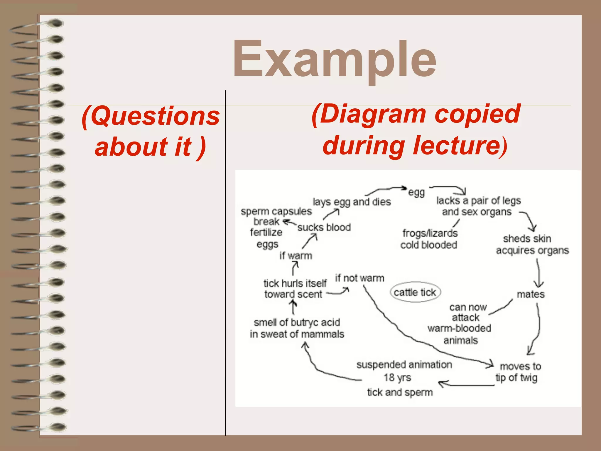 Example
(Questions      (Diagram copied
 about it )      during lecture)
 