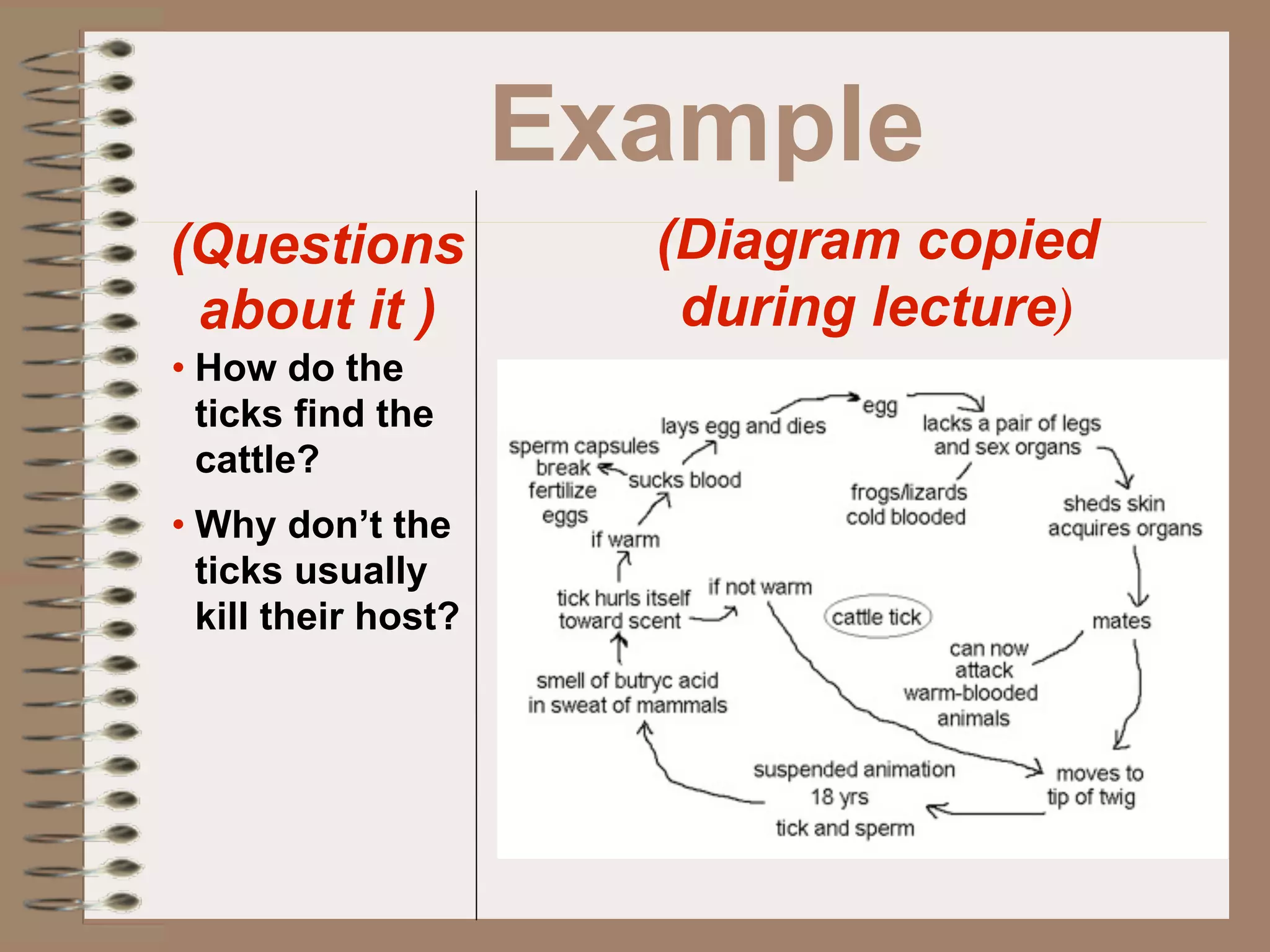 Example
(Questions             (Diagram copied
 about it )             during lecture)
• How do the
  ticks find the
  cattle?
• Why don’t the
  ticks usually
  kill their host?
 