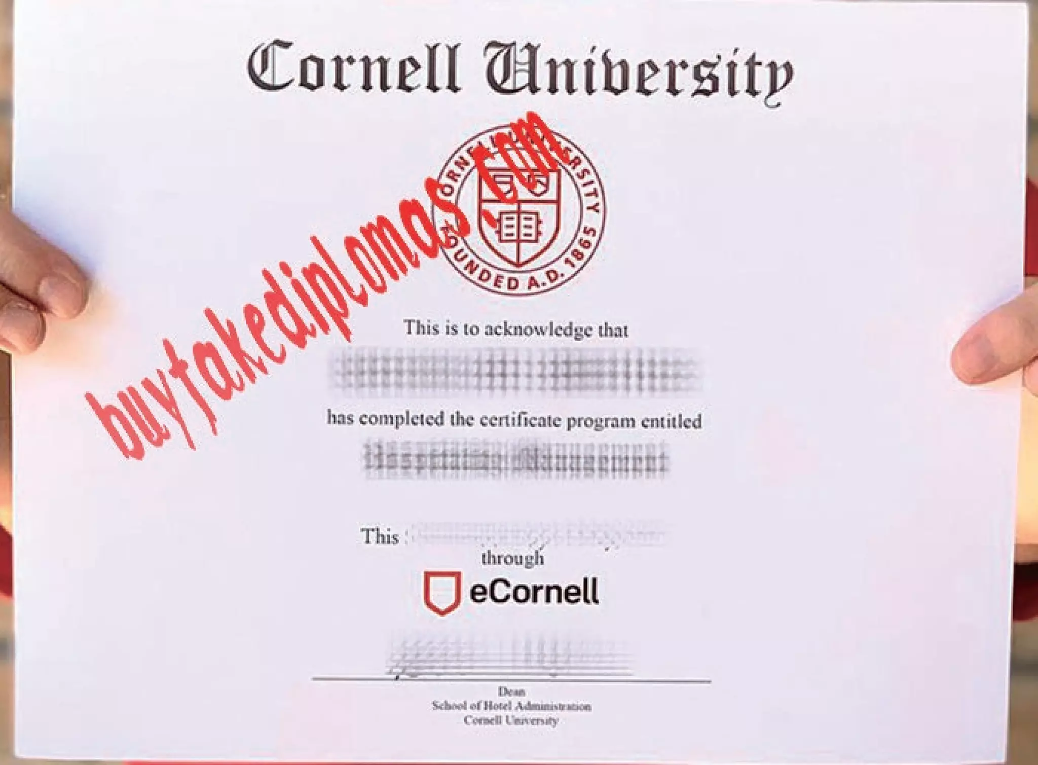 Cornell University diploma