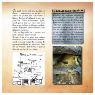 On peut encore voir une poutre en
chêne, et notamment un escalier en
schiste en parfait état conduisant à
l’étage, dont on n’a plus de traces au-
jourd’hui. Nous remarquons égale-
ment que le liant des murs n’est rien
d’autre que de la terre. On pourra donc
noter l’incroyable conservation de ces
différents éléments.
Enfin sur la gauche de la maison, un
four à pain est encore intact.
Recouvert de terre pour une raison
d’isolation, il est aujourd’hui parfaite-
ment conservé malgré la présence de
quatre gros chênes sur son tertre. Il est
fait de briques à l’intérieur, ce qui lui
donnait une inertie thermique.
Autrefois, les animaux vivaient à
proximité des hommes. En effet
la cohabitation avec les bêtes leur
apportaient la chaleur. De ce fait, à
l’intérieur même de la maison les
hommes installaient de quoi atta-
cher les animaux. Dans le manoir
paysan en ruine, on peut voir encore
des restes de ces attaches. Certaines
pierres des murs ont été percées en
leur centre pour pouvoir passer des
licols ou des cordes.
MB
Le bétail dans l’habitat
17
 