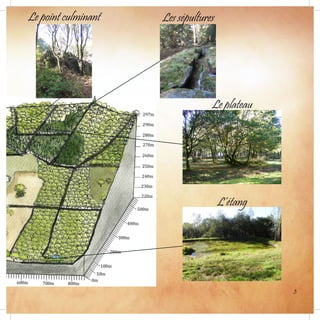 3
Le point culminant Les sépultures
Le plateau
L’étang
 