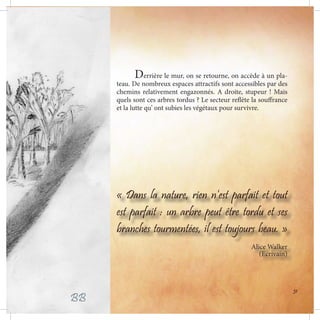 Derrière le mur, on se retourne, on accède à un pla-
teau. De nombreux espaces attractifs sont accessibles par des
chemins relativement engazonnés. A droite, stupeur ! Mais
quels sont ces arbres tordus ? Le secteur reflète la souffrance
et la lutte qu’ ont subies les végétaux pour survivre.
« Dans la nature, rien n’est parfait et tout
est parfait : un arbre peut être tordu et ses
branches tourmentées, il est toujours beau. »
Alice Walker
(Ecrivain)
BB
31
 