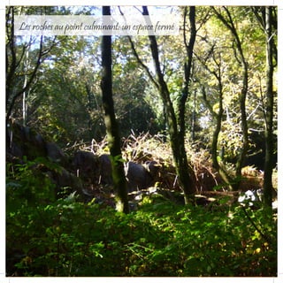 Les roches au point culminant: un espace fermé
 